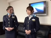 اليابانية طوكيو مضيفة الطيران